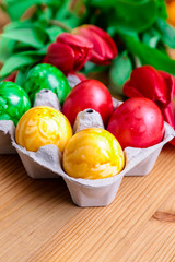 Sechs bunte Eier mit Tulpen