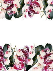 Floral background. Orchid 