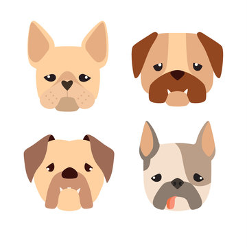 Cartoon bulldog. Cute dogs vector set of icons, illustration isolated on white background