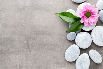 Obraz na płótnie Canvas Spa stones and flowers on grey background.