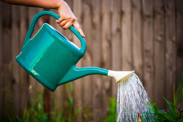 Woman’s hand holding a watering can pouring water