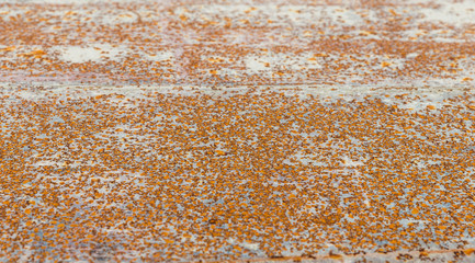 The surface of rustic metal with selective focus