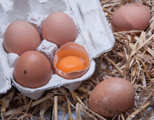 farm eggs