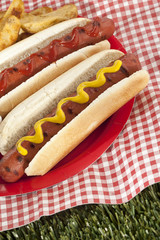 hot dog sandwiches and fries