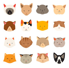 Obraz premium Cat icons head, breed cats. Cute kitties, animal's head logo. Cats in a flat style. Let's cat. Flat vector illustration, isolated on white background