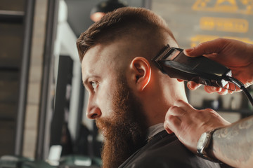 Bearded Man In Barbershop