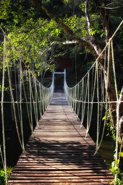 Fototapeta rope bridge