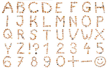 Seashell alphabet and numbers