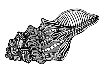 Zentangle stylized shell.