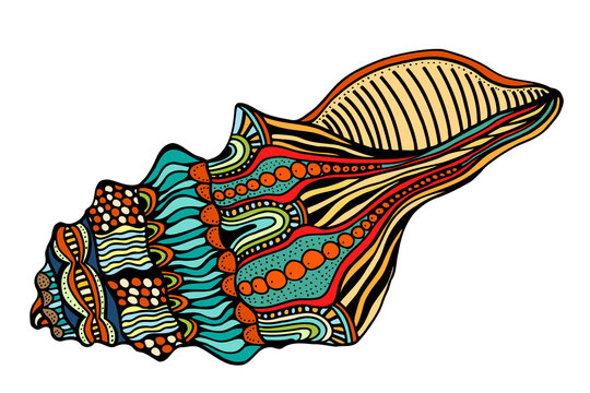 Seashell. Vector illustration.