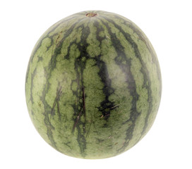 Watermelon / Watermelon isolated on white background.