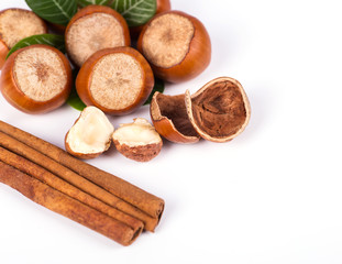 hazelnuts photo illustration