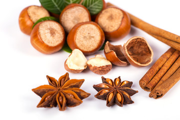 hazelnuts photo illustration