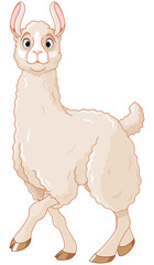 Lama © Anna Velichkovsky