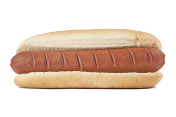 hotdog sandwich