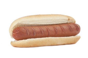 hotdog in a bun