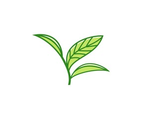 Fototapeta premium Plant logo