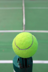 Tennis ball on net