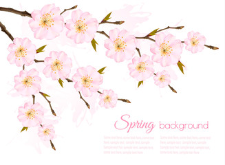 Obraz na płótnie Canvas Spring background with a sakura branch. Vector.