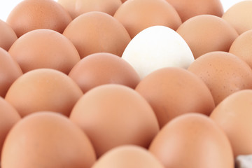 close up Eggs pattern background