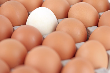 close up Eggs pattern background