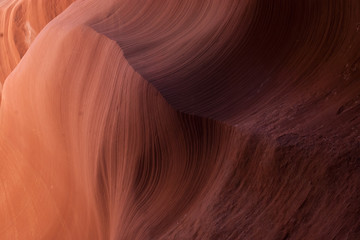 Natural Abstract from the Lower Antelope Clot canyon of Arizona