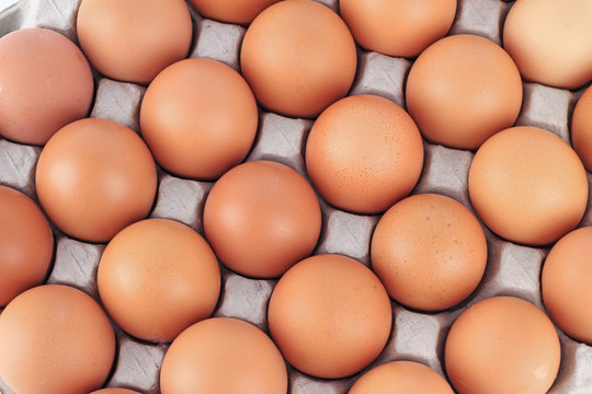 close up Eggs pattern background
