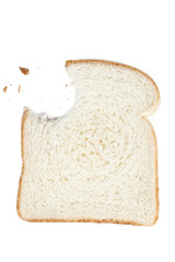 piece of bread with bite