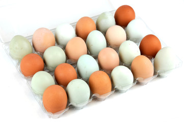 chicken eggs with different color in the container
