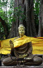 Buddha under the Bodhi tree