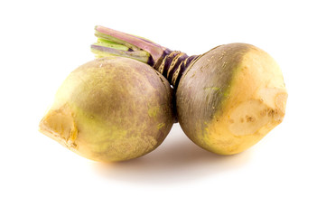 Bulbous swede turnip root plants on white