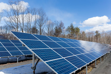 Solar energy panel plant