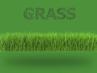 green grass on green background