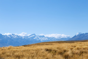 Fototapeta na wymiar pasture near snow mountains in blue sky