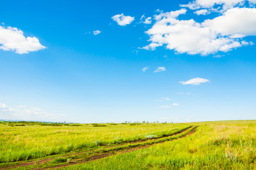 Field with green grass and the blue sky with clouds.