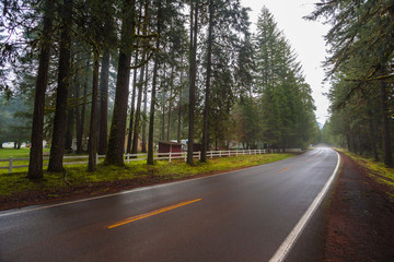 Rural Highway Through Forest
