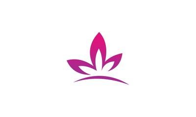 Fototapeta na wymiar Floral logo with three leaves of linear smooth elegant style 