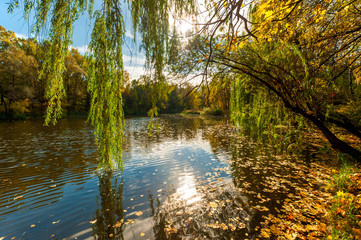 Fototapeta na wymiar beautiful autumn landscape, a lake in the park