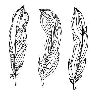 Set of hand drawn feathers with boho pattern. Tribal doodle elements. Vector element for your creativity.