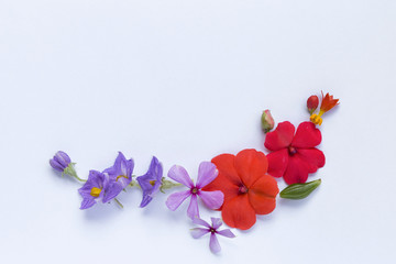 Colorful flower arrangement on white background