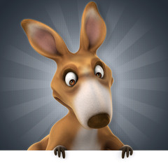 Fun kangaroo © Julien Tromeur