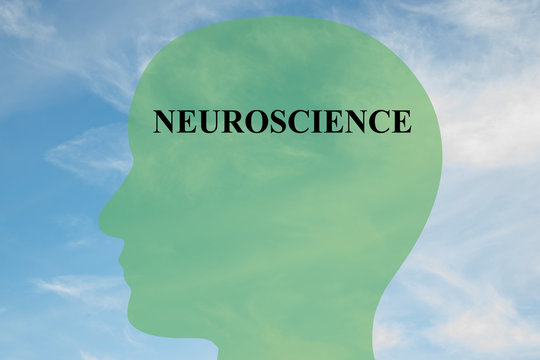 Neuroscience brain concept