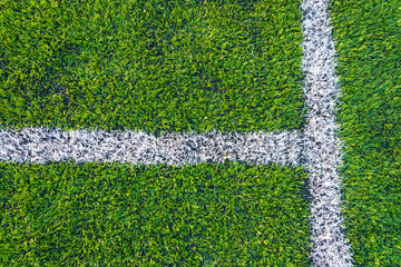 White line on the green soccer field