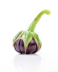 eggplant