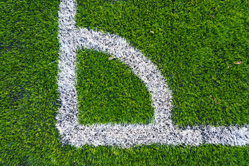 White line on the green soccer field