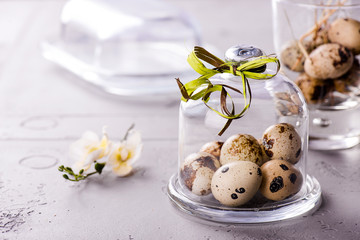 Quail's eggs under a glass cloche with a ribbon