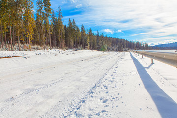 Fototapeta na wymiar winter road along forest
