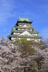 Naklejka premium Osaka Castle and cherry blossom