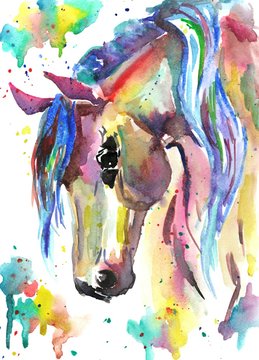 Horse head. Color watercolor illustration. Hand drawn