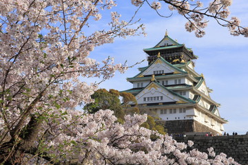 Osaka Castle and cherry blossom
